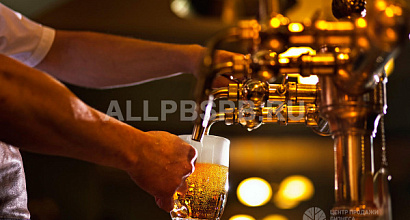 Пивной магазин на Богатырском проспекте