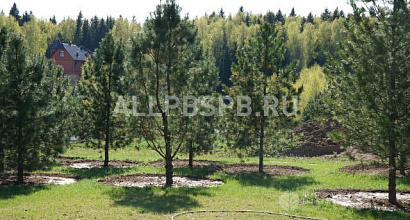 Продажа:  растениеводство