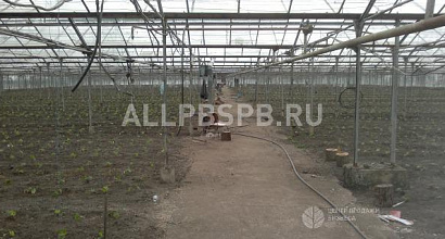Продажа:  тепличное хозяйство в симферополе