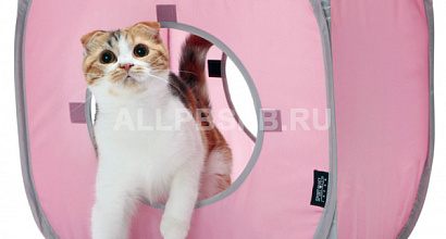 Магазин зоотоваров