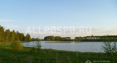 Продается  зарыбленный пруд 7 га c доходностью 33 годовых