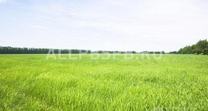 Продажа:  Земля для ведения бизнеса на юге рф