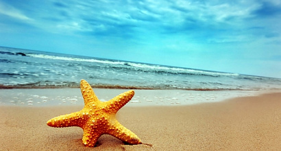 Продается действующая турфирма