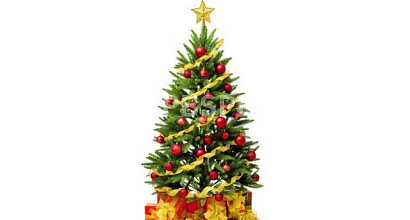 Продается  интернет-магазин искусственных елок 