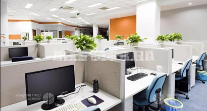 Офисное помещение в Московском районе