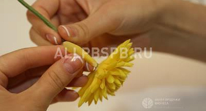 Готовый бизнес  профессиональная школа керамической флористики