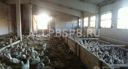 Продается  продам действующий с/х комплекс в калужской обл 