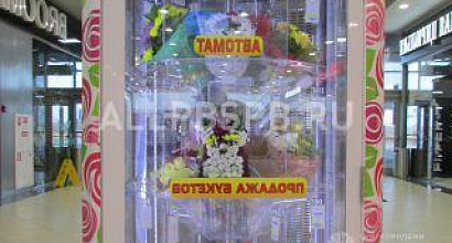 Продажа:  цветомат &quot;фловед 2&quot;