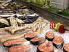 Рыбный отдел в продуктовом магазине Невского района