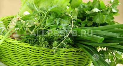 Веганское кафе стрит-фуда в Центральном районе