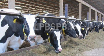 Готовый бизнес  действующее сельхозпредприятие в городе углич