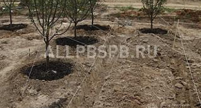 Продажа:  строительная компания ооо &quot;коронэль&quot;