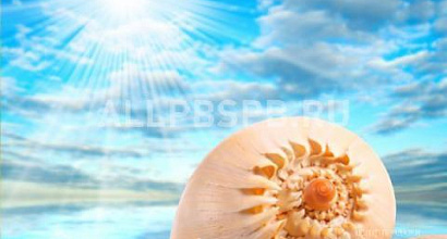 Готовый бизнес  туристическое агенство м. чистые пруды