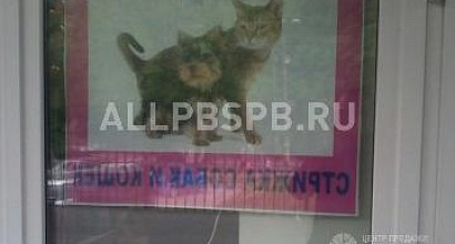Продается  магазин зоотоваров в крупном торговом центре