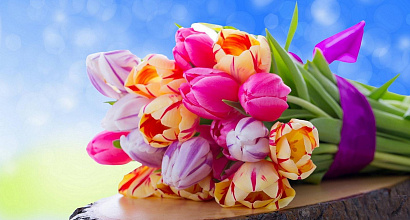 Салон цветов