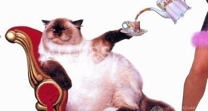 Готовый бизнес  продам интернет- магазин 