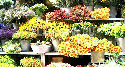 Продается  цветочный магазинчик 12 кв. м