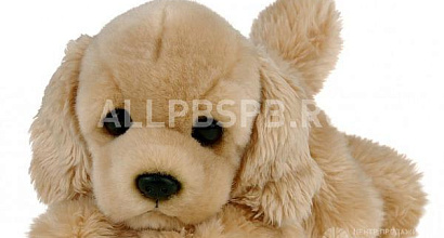 Продажа:  интернет магазин, прибыльность от 70 т. р 