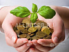 Продажа:  ищу делового партнера