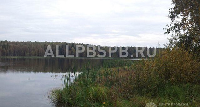 Продажа:  Прибыльный бизнес на начальном этапе