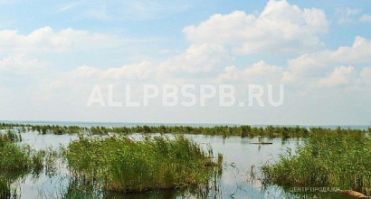 Продажа:  рыбоводное хозяйство и предприятие по переработке