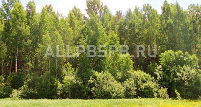 Продажа:  крупная туристическая база на берегу озера