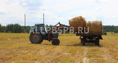 Продается  фермерское хозяйство в рязанской области