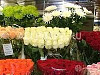 Готовый бизнес  цветочный магазин в тц енисей