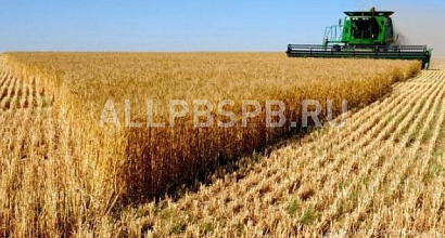 Готовый бизнес  продается кфх (ставропольский край)