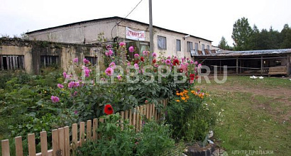 Готовый бизнес  фермерское хозяйство