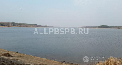 Готовый бизнес  рыбное хозяйство