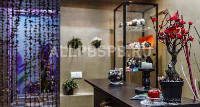 Готовый бизнес  салон красоты и спа