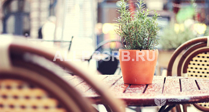 Действующее кафе на Васильевском острове