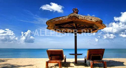 Продается  сеть турагентств