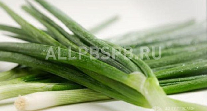 Продается  прибыльное производство зеленого лука 