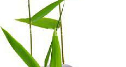 Продается  продается спа-салон 