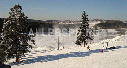 Продажа: Готовый бизнес  сорочаны