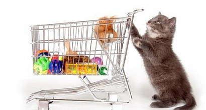 Зоомагазин в проходимом месте (акв. рыбы, птицы, грызуны)