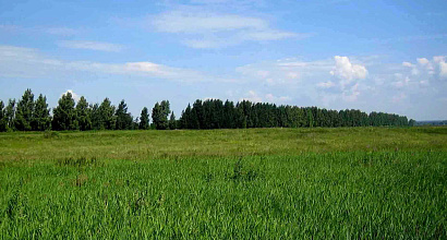 ППА на земельный участок во Фрунзенском районе