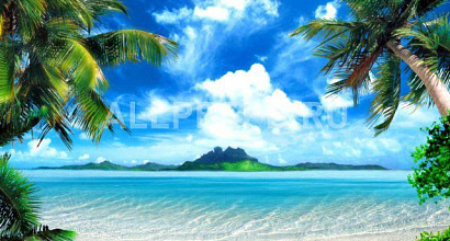 Продается  туристическое агентство, больше 5 лет работы 