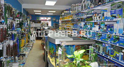 Зоомагазин с наработанной базой клиентов