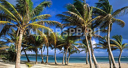 Готовый бизнес  продается туроператор по экзотическим странам 