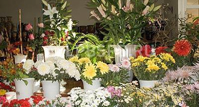 Продается  магазин &quot;цветы, м. люблино