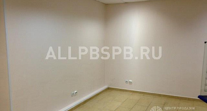 Продается торговое помещение с продуктовым арендатором в собственность