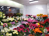 Цветочный салон в Адмиралтейском районе