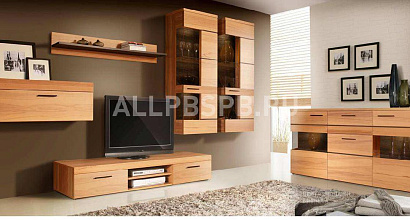 Продажа: Готовый бизнес  действующий магазин