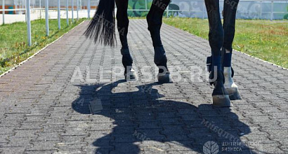 Продается  производство плитки из резиновой крошки 