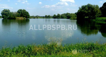 Аренда:  Фирма с правом аренды Бельского озера