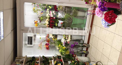 Продажа: Готовый бизнес  магазины цветы и зоотовары
