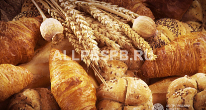 Пекарня полного цикла в Центре города